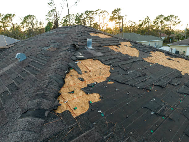 Best Asphalt Shingles Roofing  in Mccla, AL