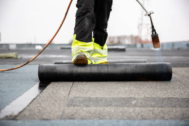 Best Gutter Installation and Repair  in Mccla, AL